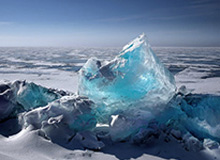 官方：津门虎与方镜淇、哈达斯、黄嘉辉、王献钧完成续约